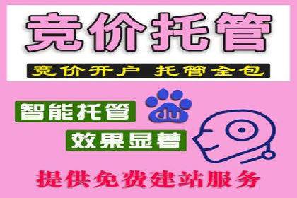 案例研究：SEM开户助力电商快速崛起